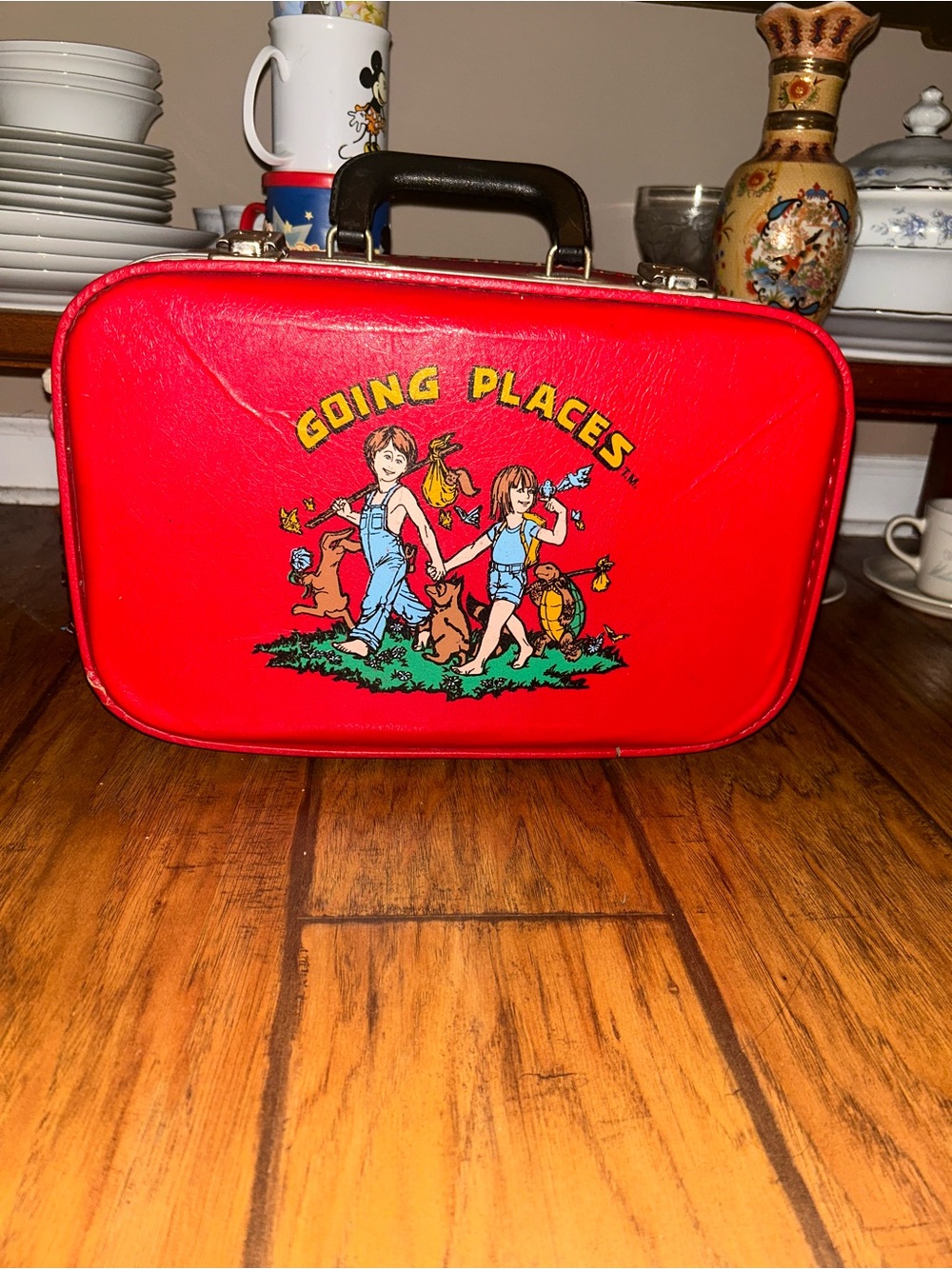 Vintage 70s Mercury Luggage Manufacturing Company hard suitcase Going Places